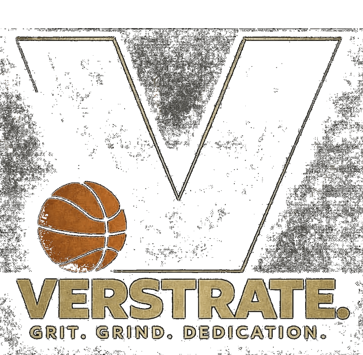 VerStrate Training | undefined Logo